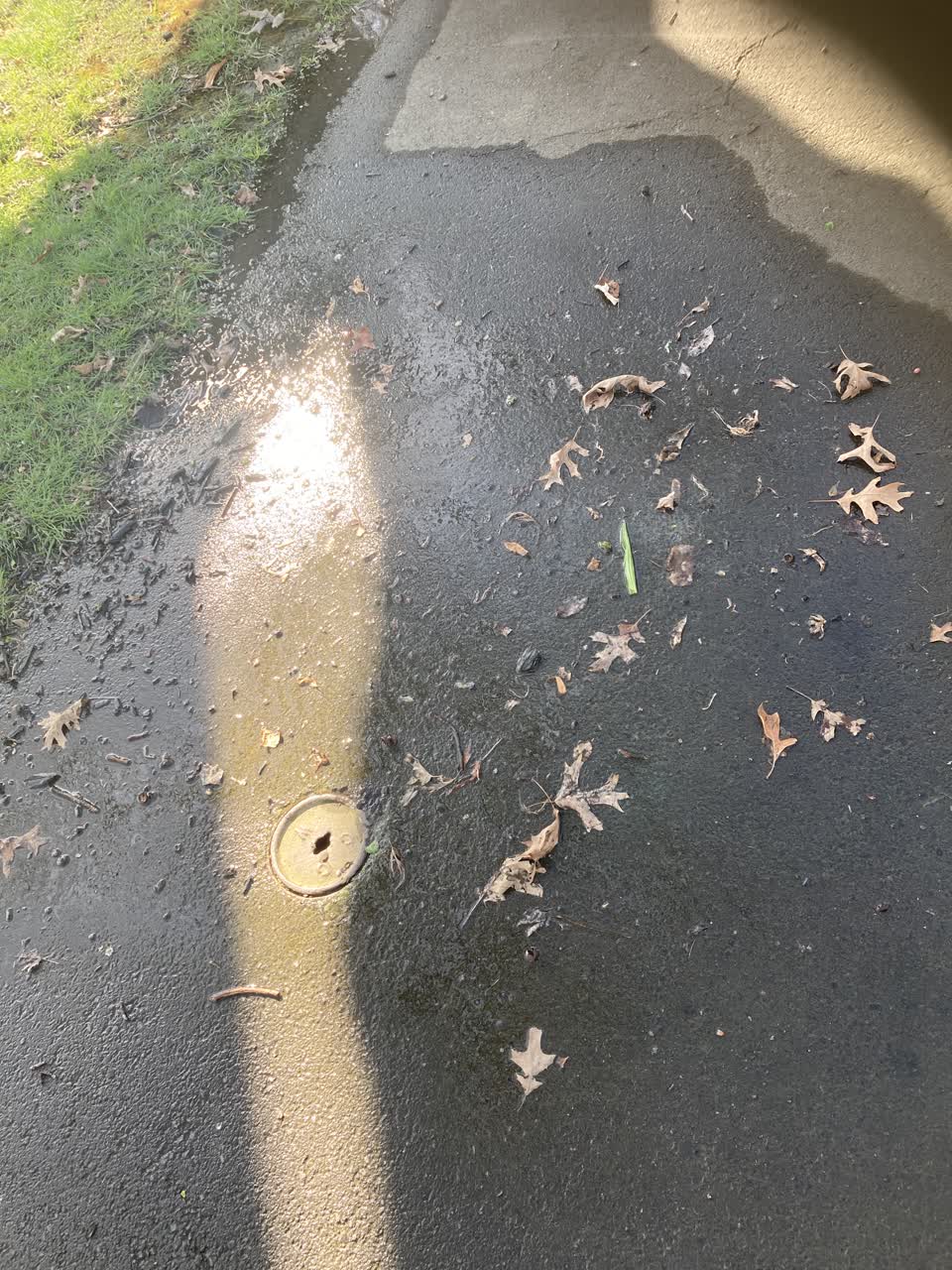 The photograph attached to this water leak report