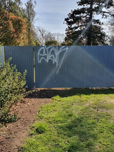 Graffiti, a report photo