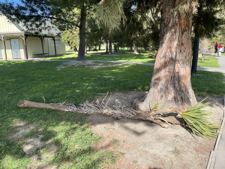 The photograph attached to this parks report