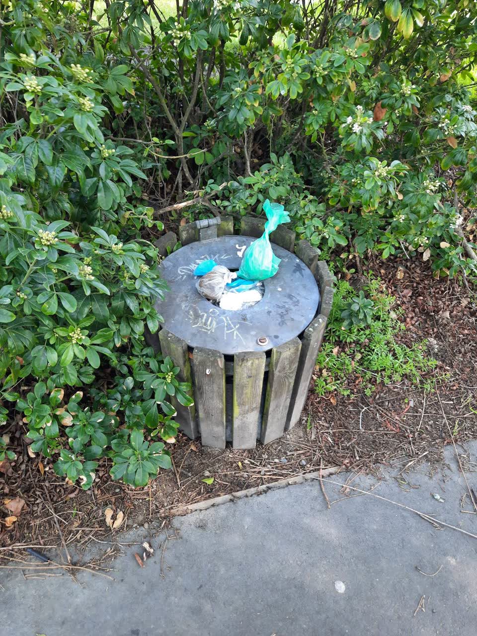 The photograph attached to this rubbish/recycling report