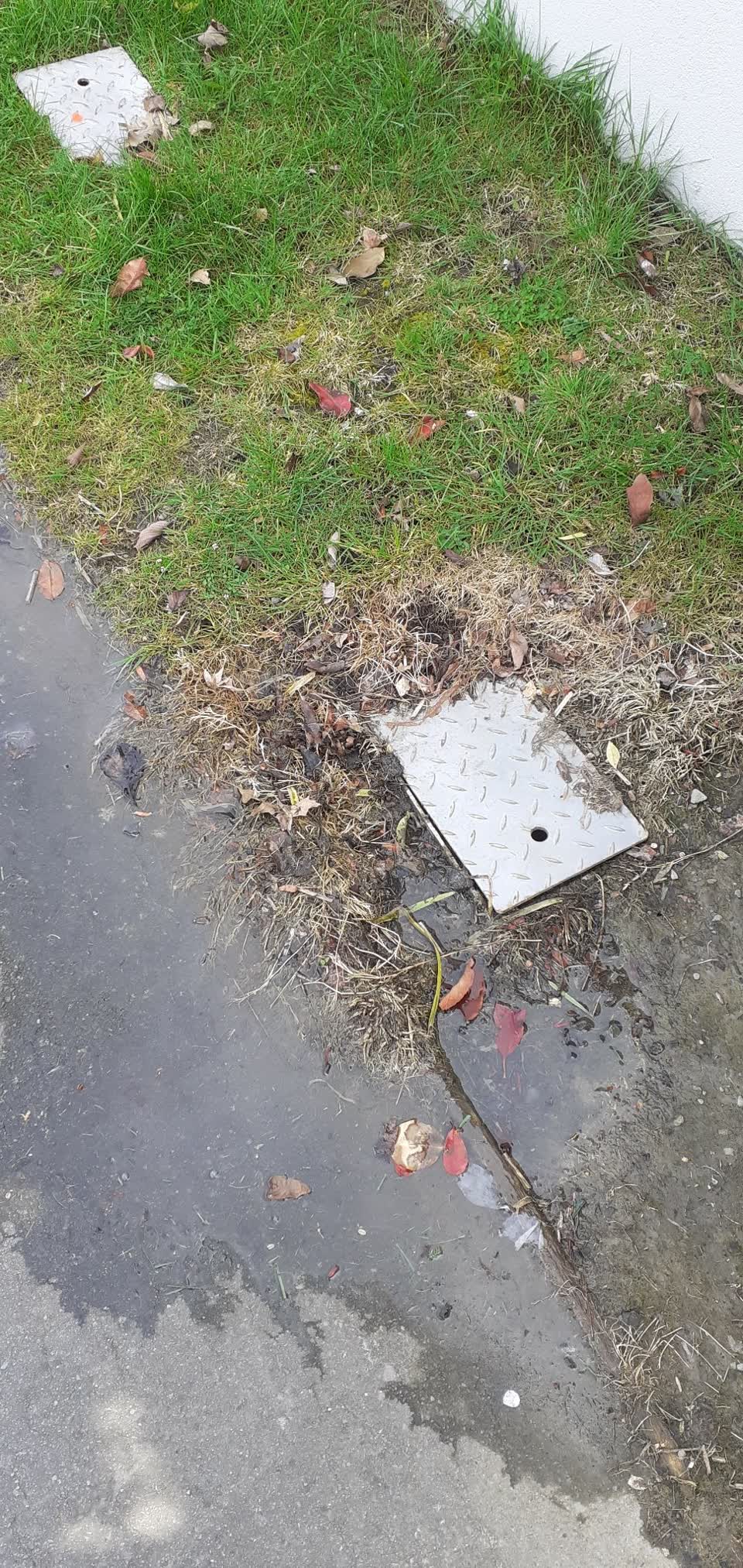 The photograph attached to this water leak report