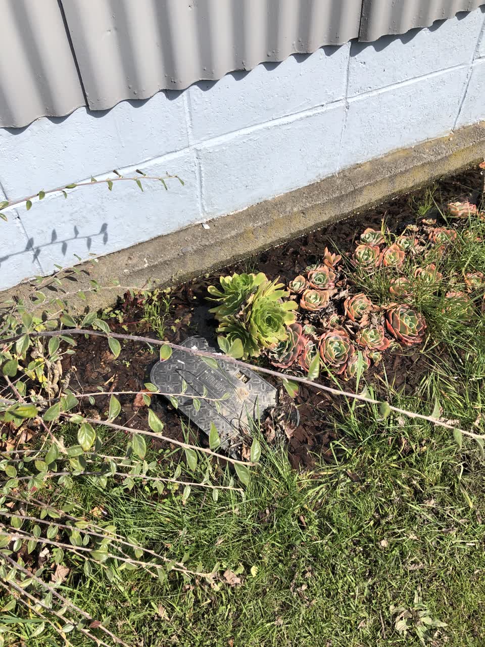 The photograph attached to this water leak report