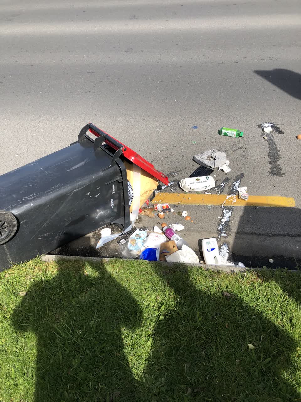 The photograph attached to this rubbish/recycling report