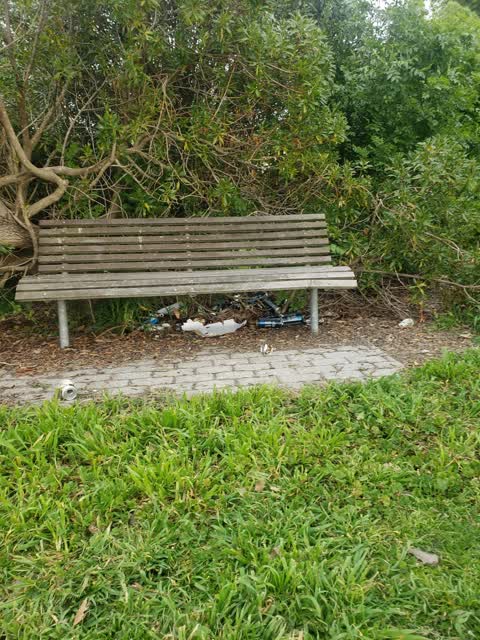 Rubbish/Recycling, a report photo