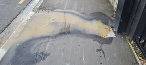 Water Leak, a report photo