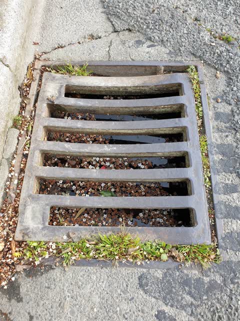 Wastewater/Stormwater, a report photo