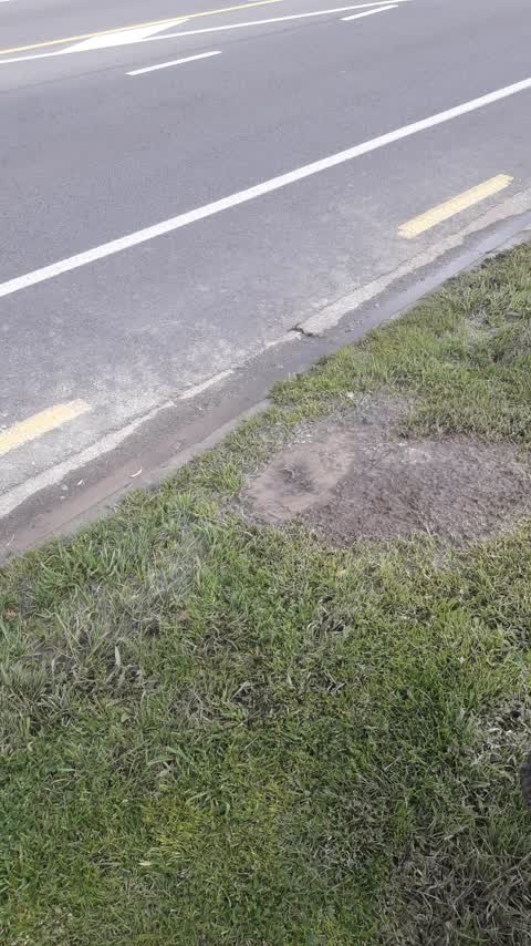 Water Leak — a report photo