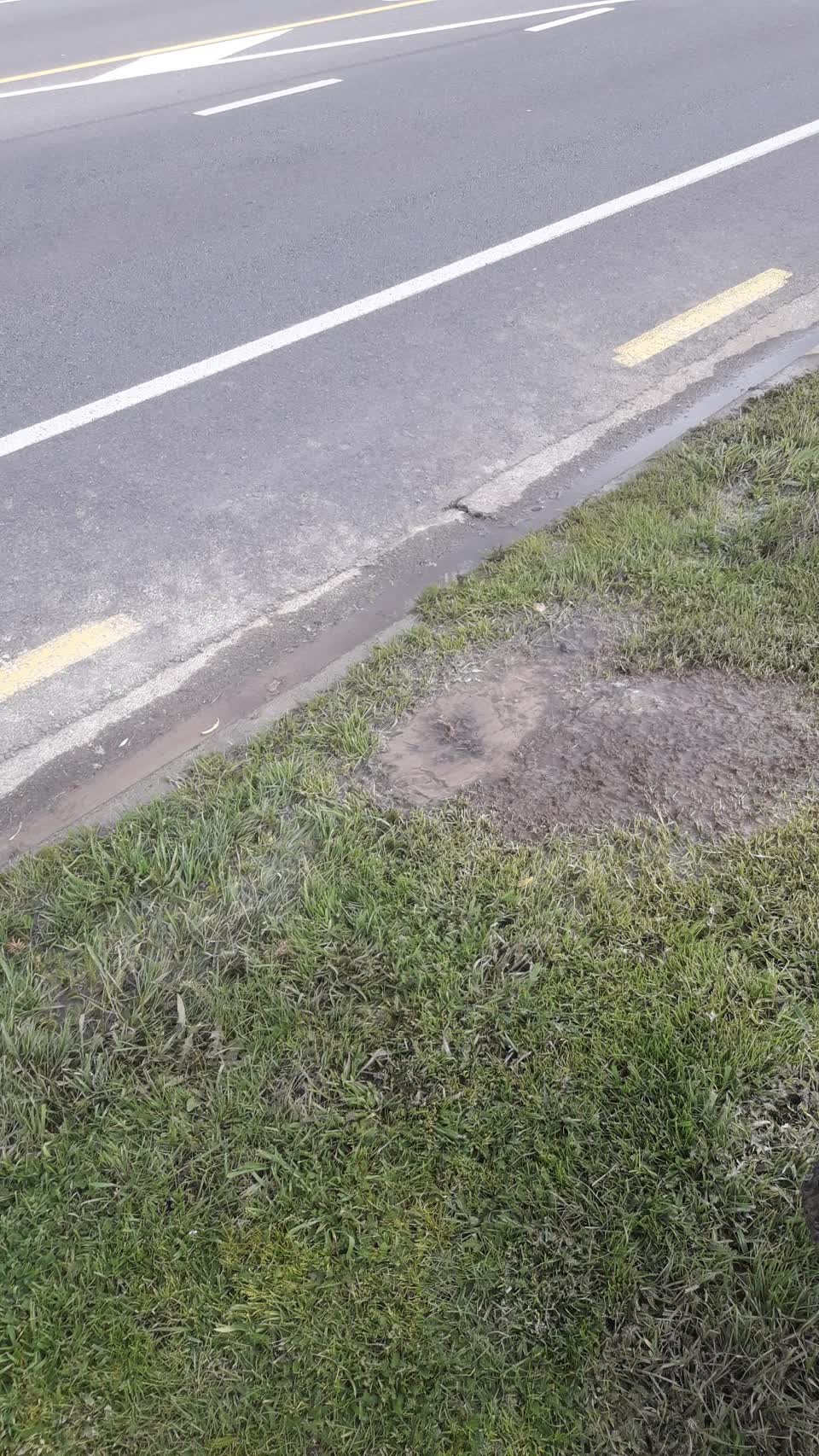 The photograph attached to this water leak report