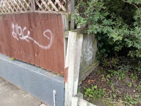 Graffiti, a report photo