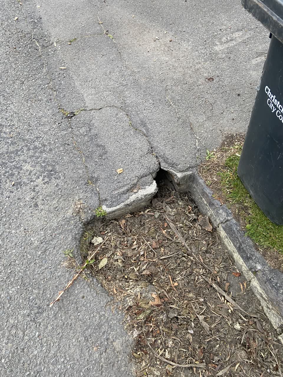The photograph attached to this roading/streets report