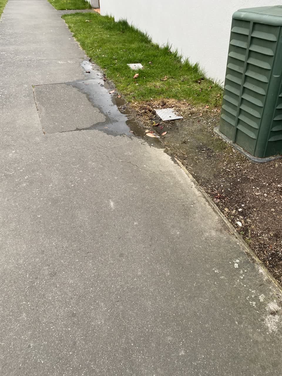 The photograph attached to this water leak report