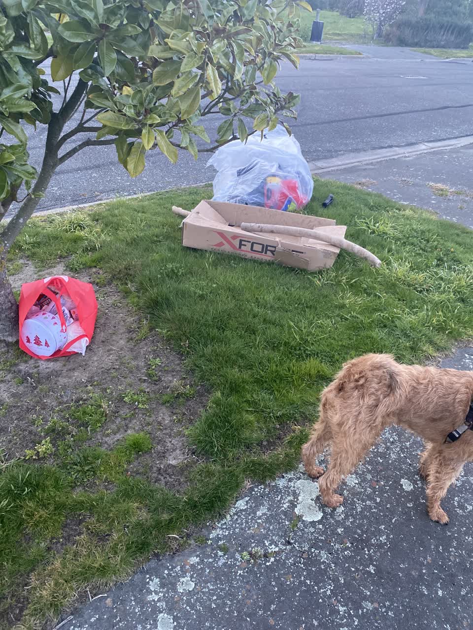 The photograph attached to this rubbish/recycling report