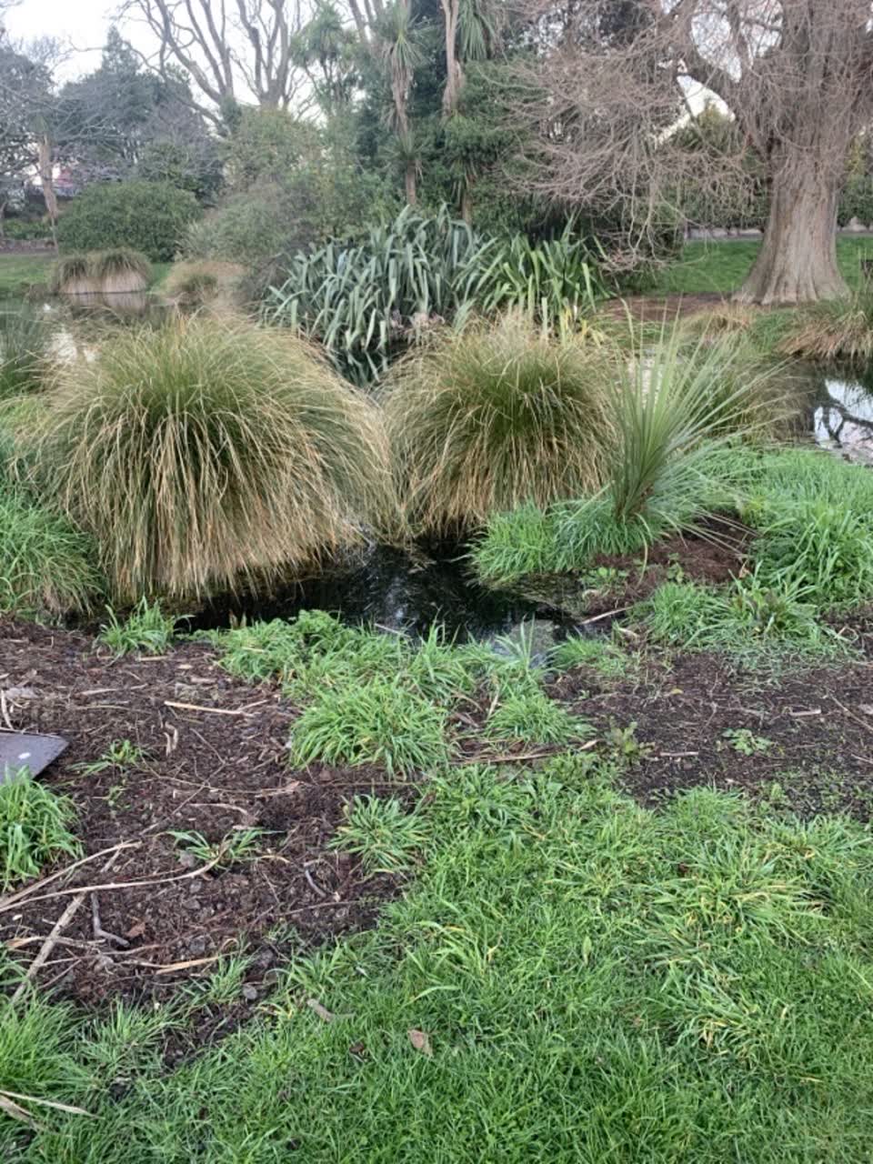 The photograph attached to this flooding report