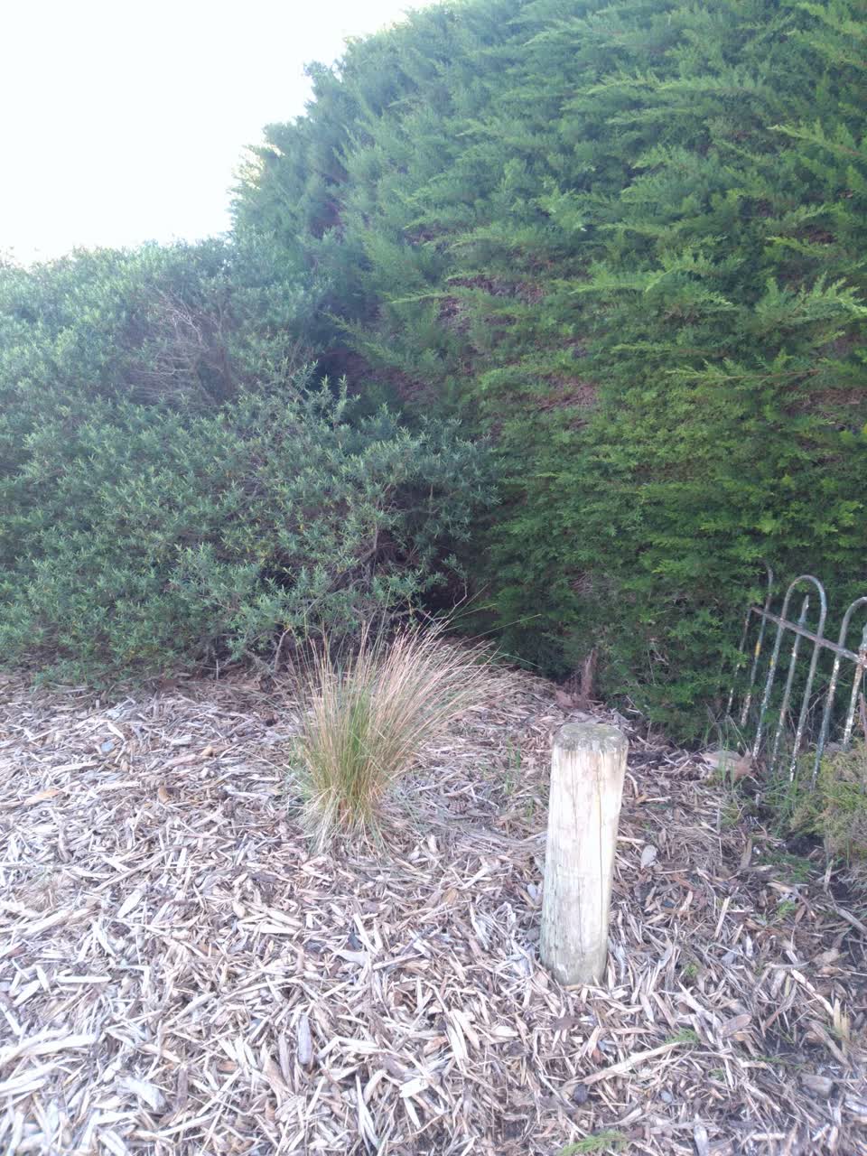 The photograph attached to this parks report