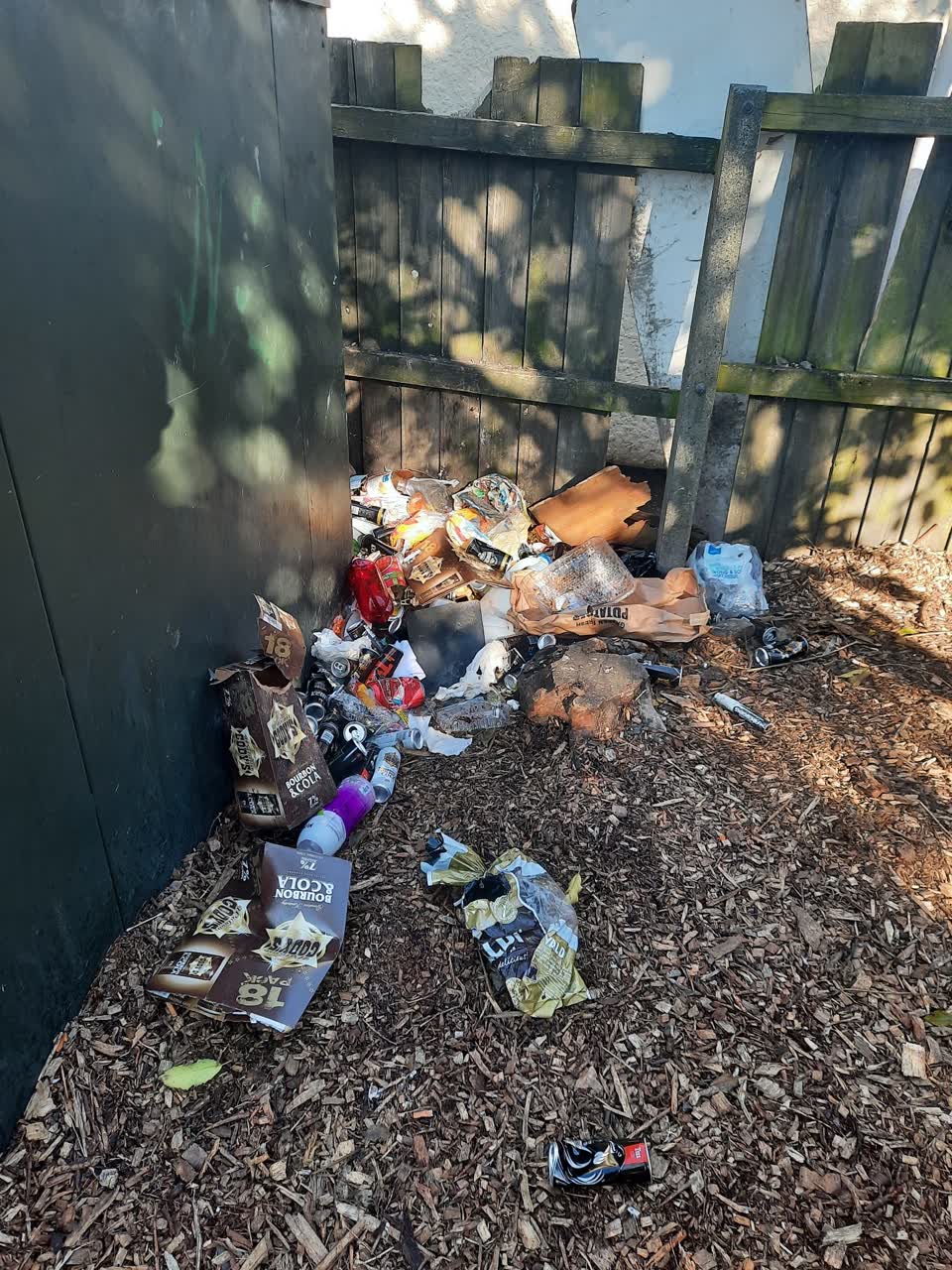 The photograph attached to this rubbish/recycling report