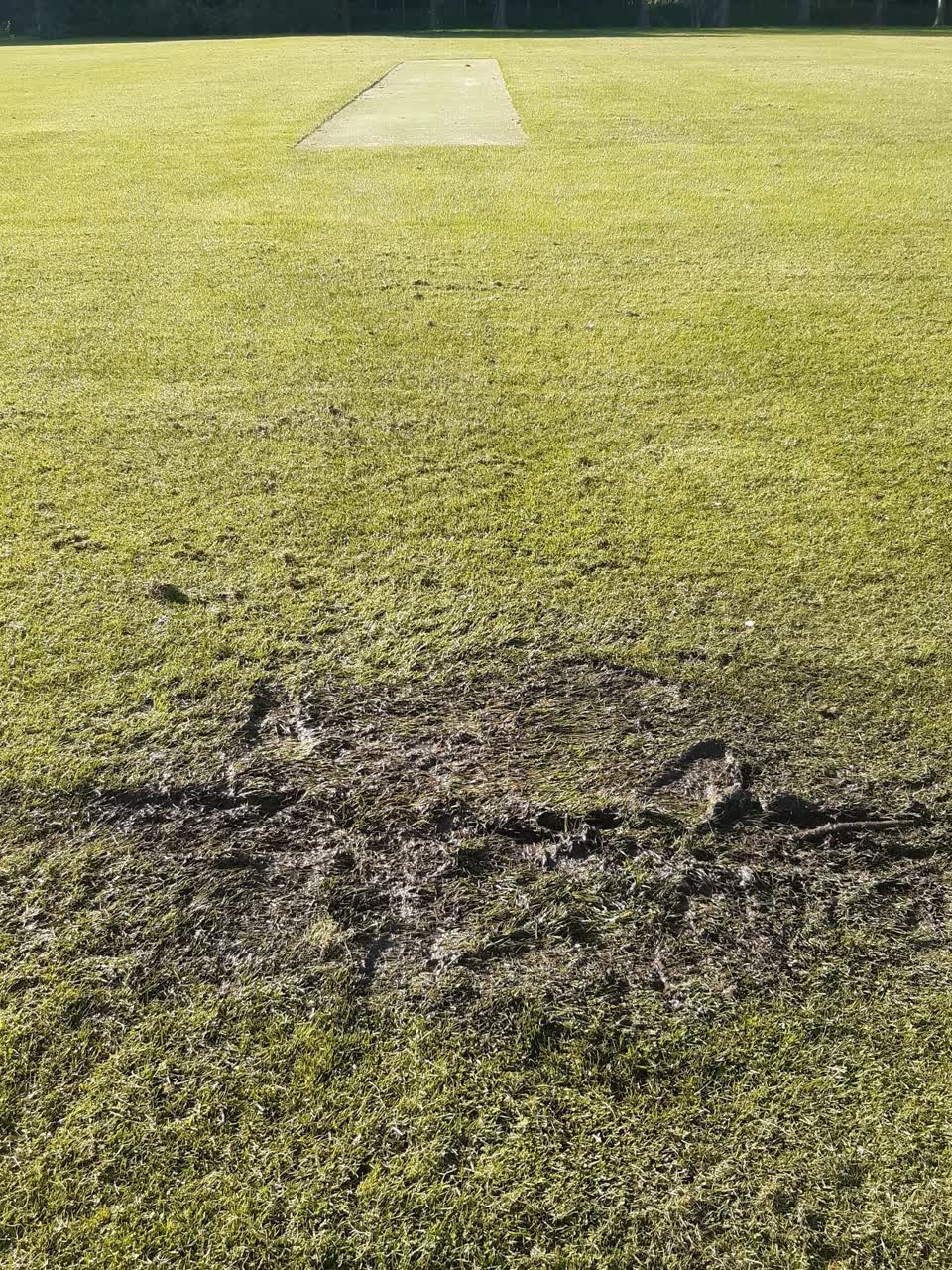 The photograph attached to this parks report
