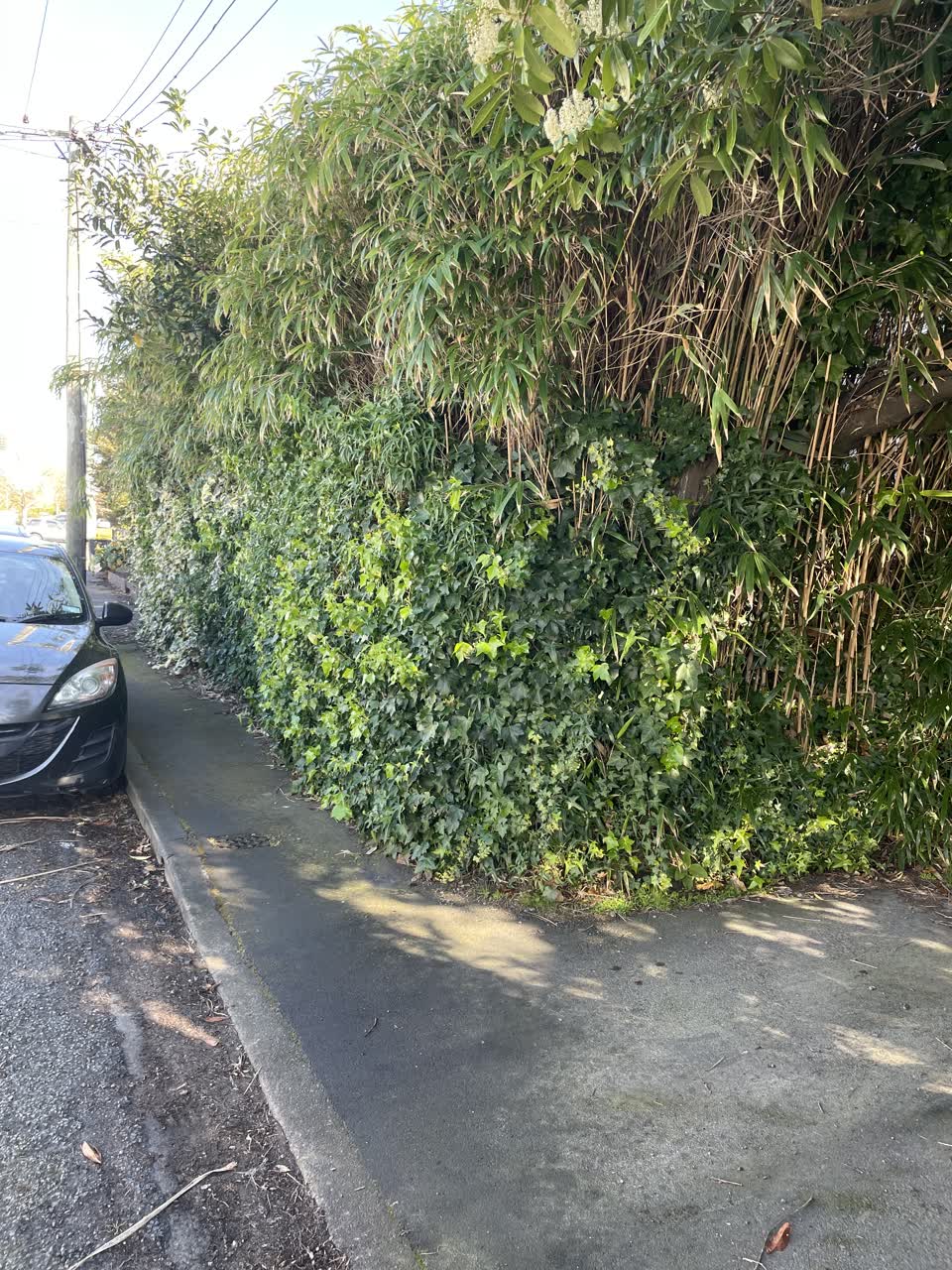 The photograph attached to this roading/streets report