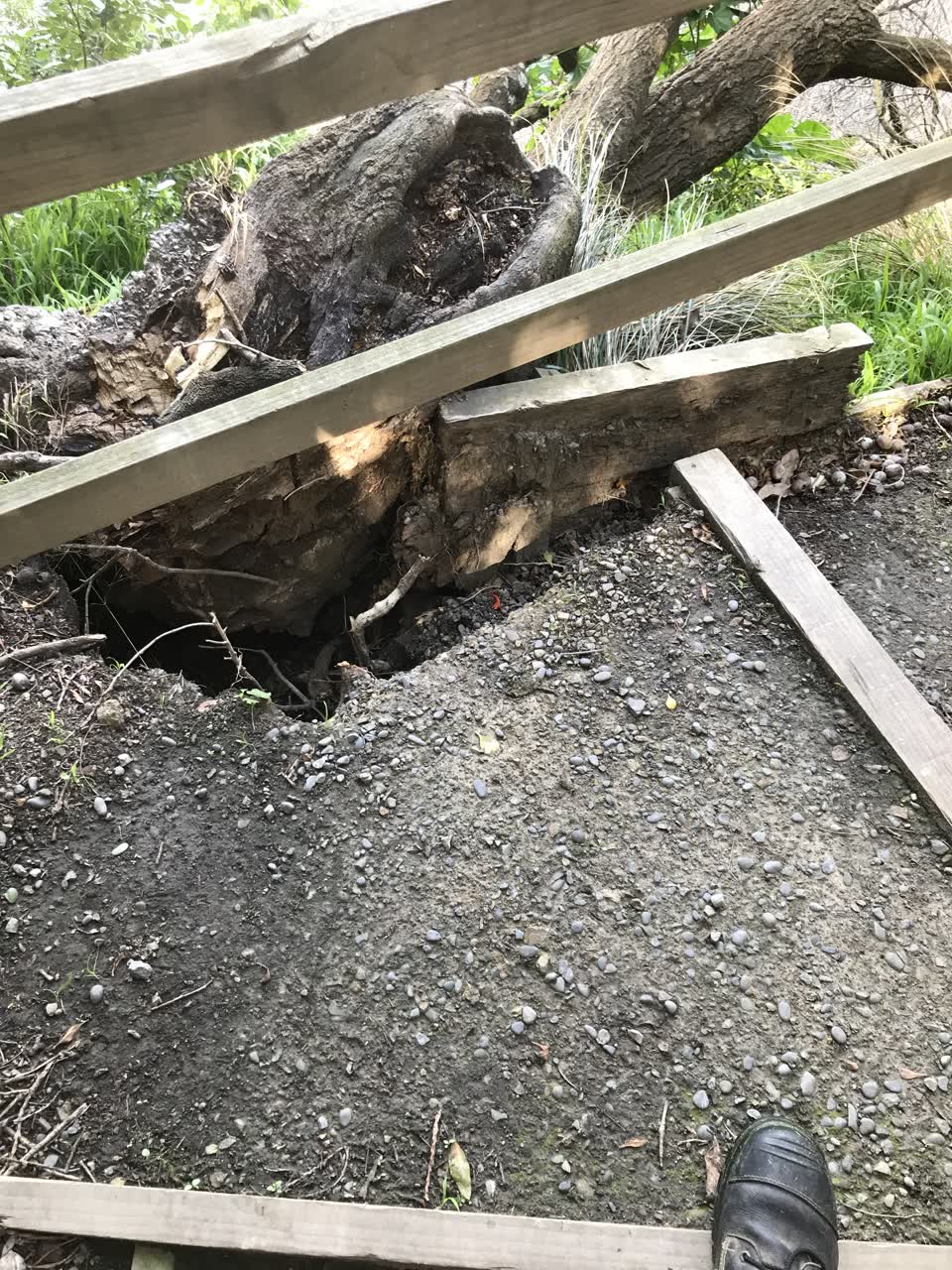 The photograph attached to this parks report