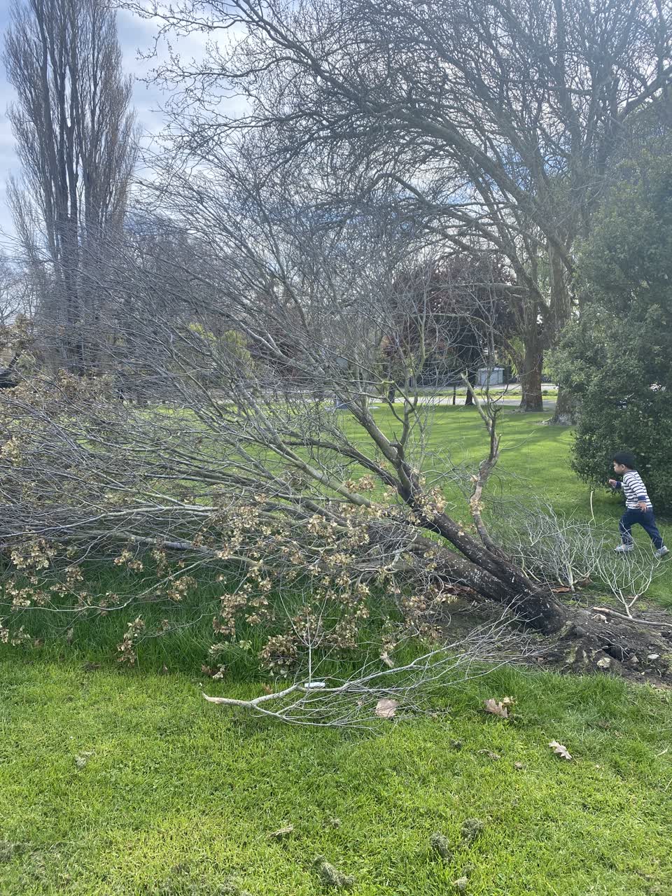 The photograph attached to this parks report
