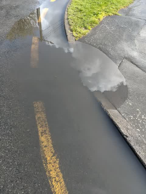 Roading/Streets, a report photo
