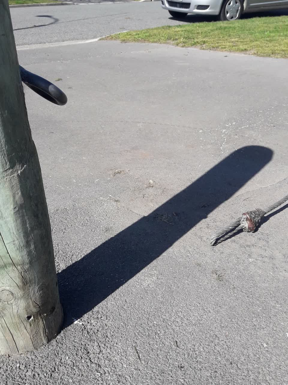 The photograph attached to this parks report