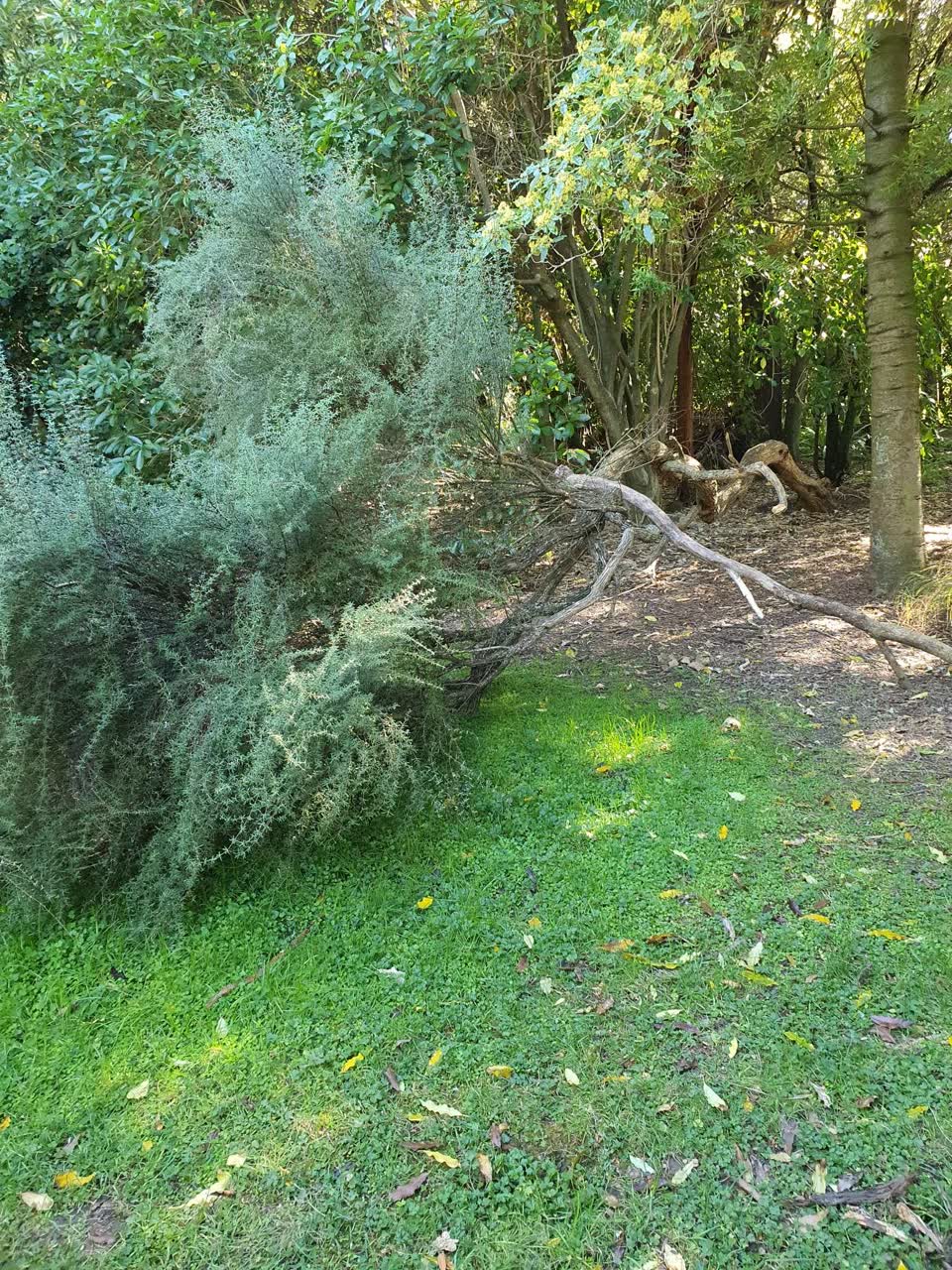 The photograph attached to this parks report