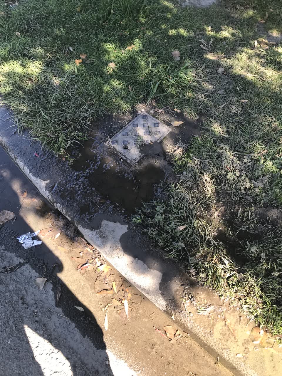 The photograph attached to this water leak report
