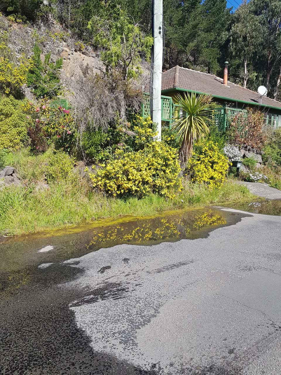 The photograph attached to this water leak report