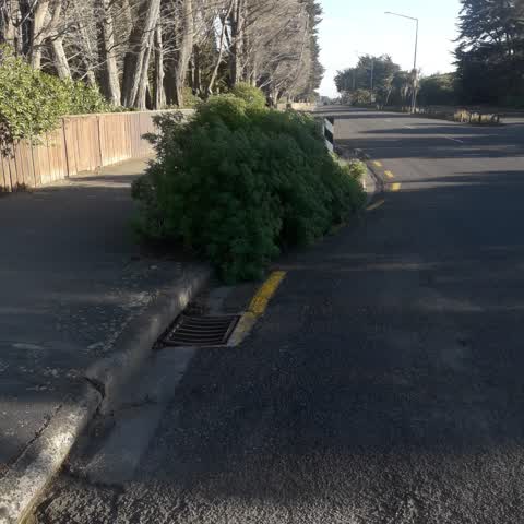 Roading/Streets, a report photo