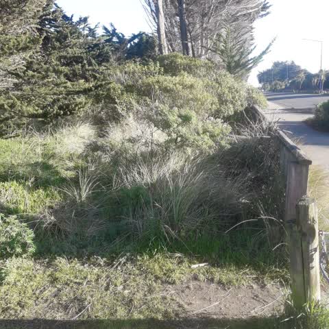 Parks, a report photo