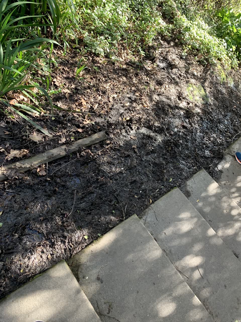 The photograph attached to this water leak report