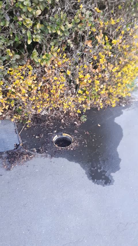 Water Leak, a report photo