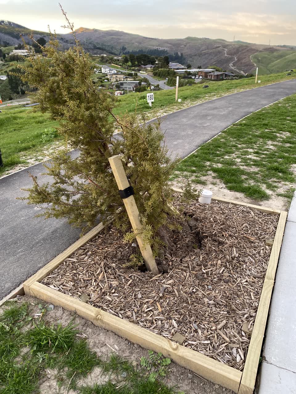 The photograph attached to this parks report