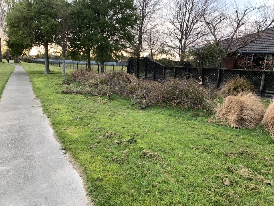 The photograph attached to this parks report