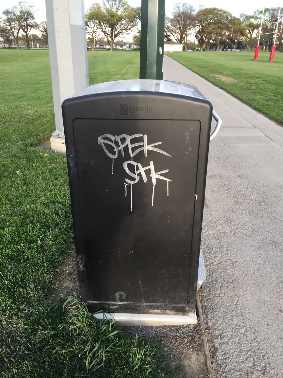 The photograph attached to this graffiti report