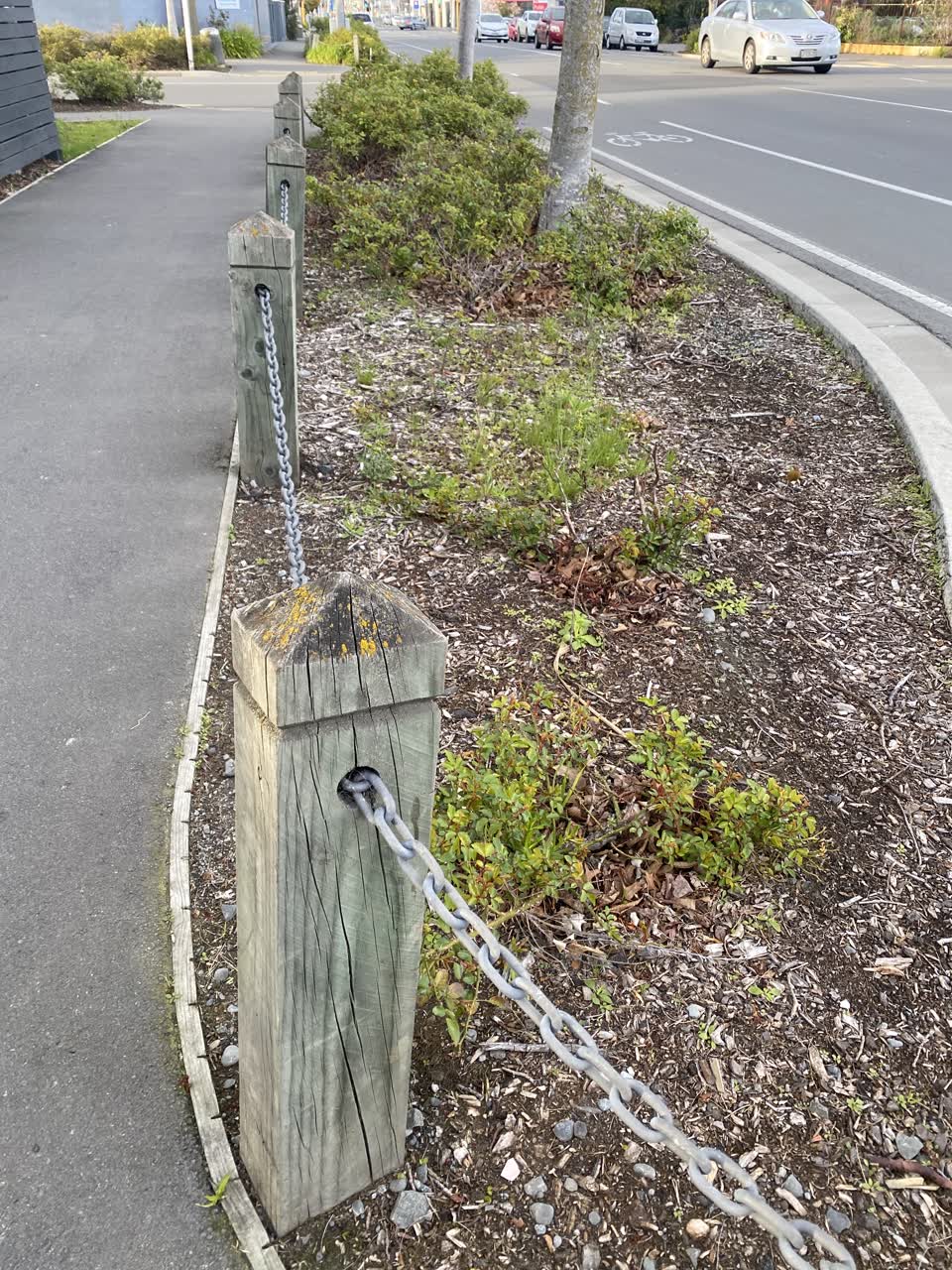 The photograph attached to this parks report