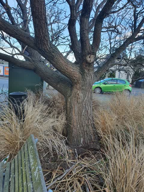 Parks, a report photo
