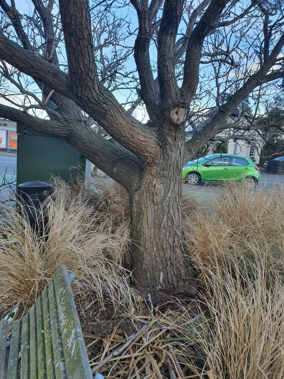 The photograph attached to this parks report