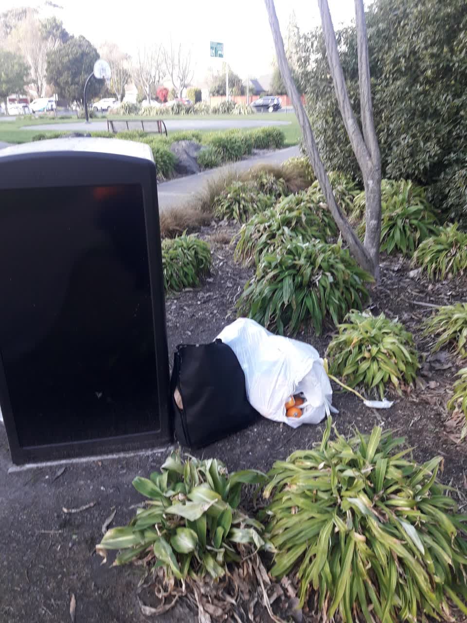 The photograph attached to this parks report