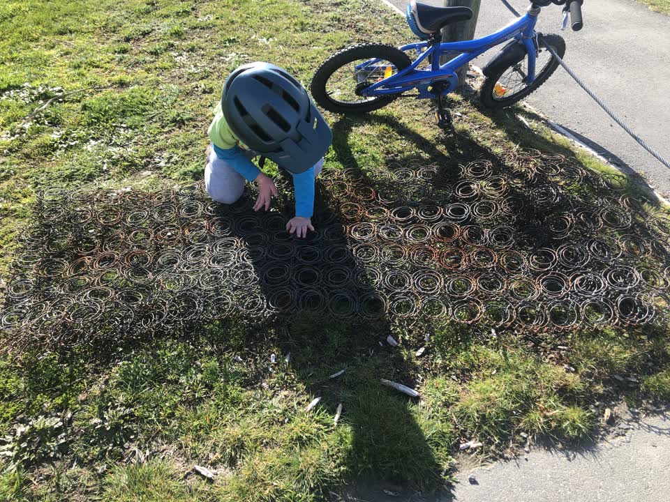 The photograph attached to this parks report