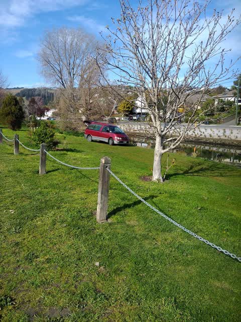 Roading/Streets, a report photo