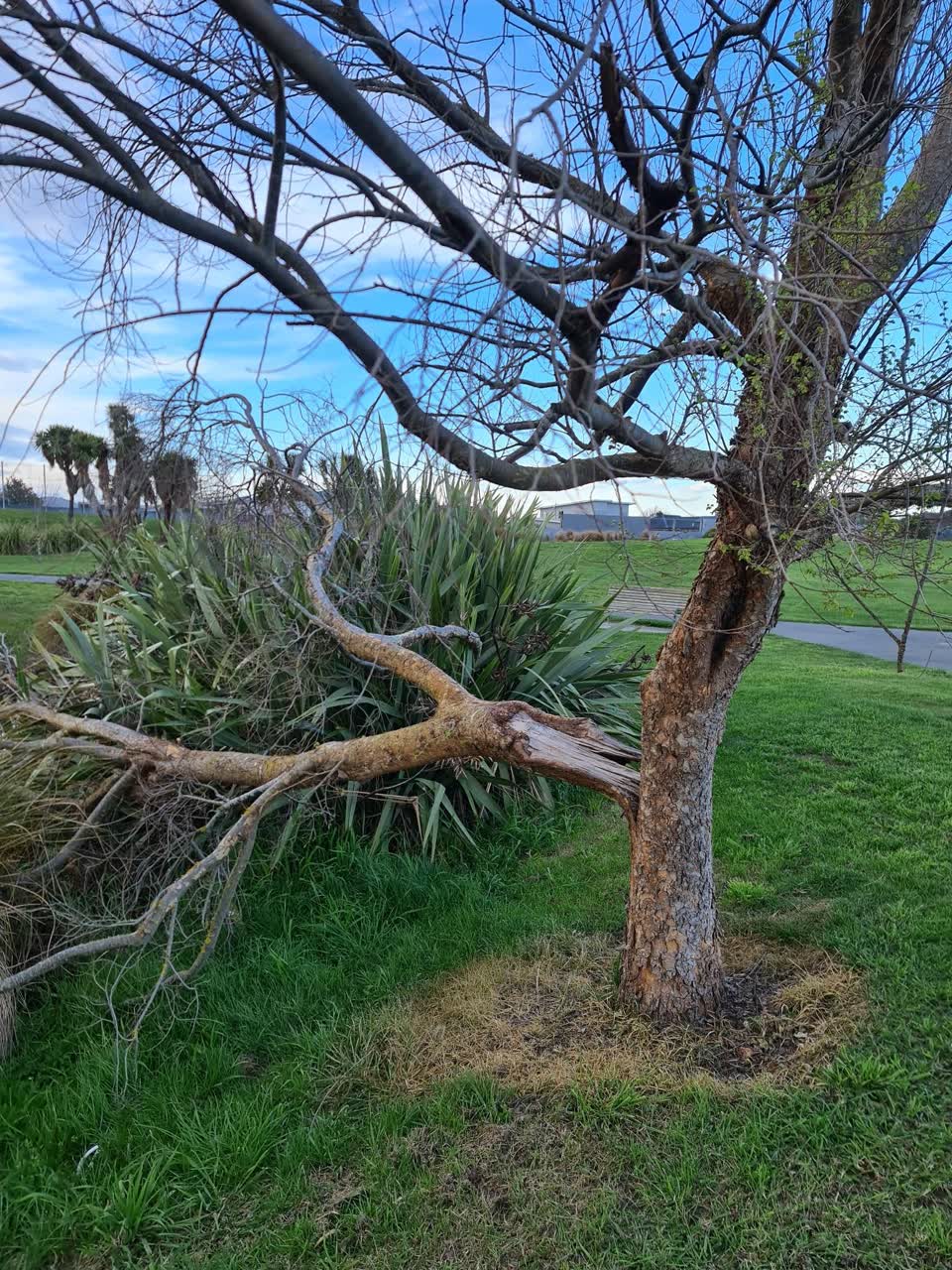 The photograph attached to this parks report