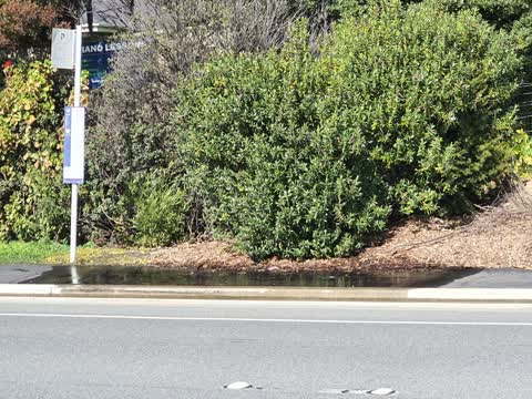 Water Supply, a report photo