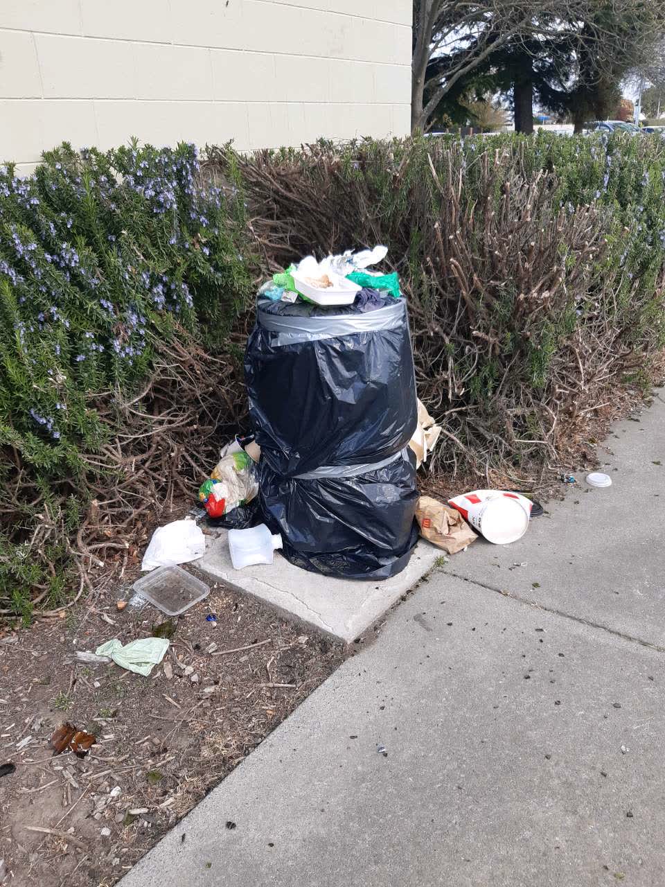 The photograph attached to this parks report