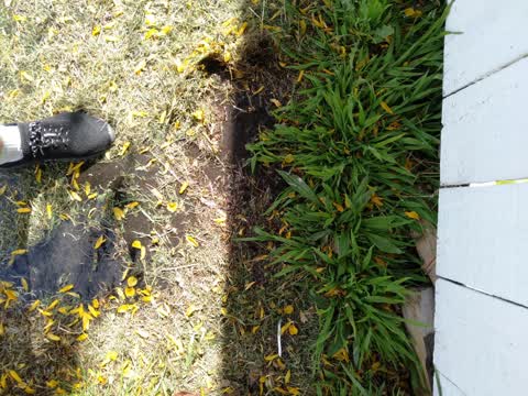 Water Leak, a report photo