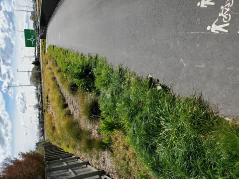 Roading/Streets, a report photo