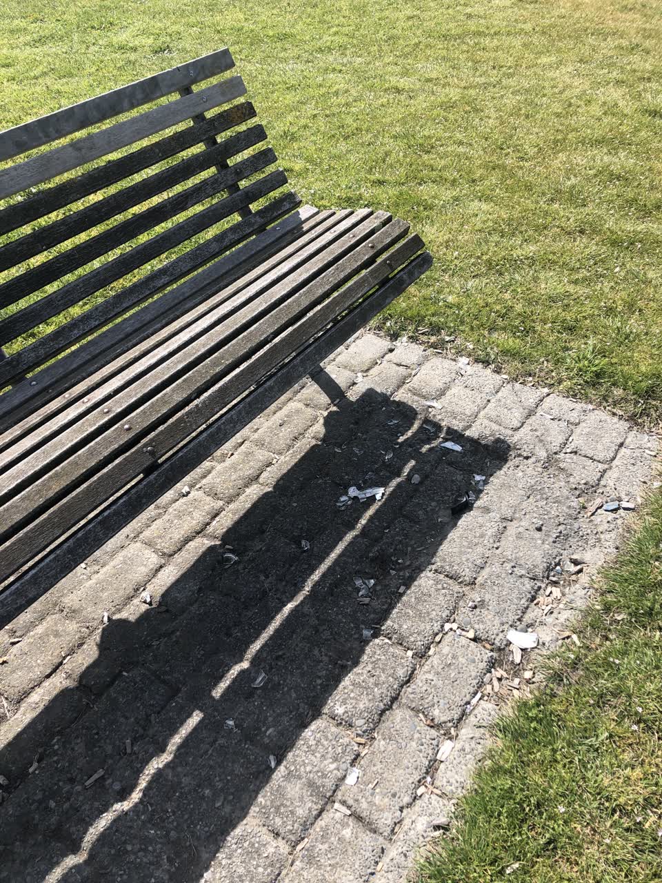 The photograph attached to this parks report