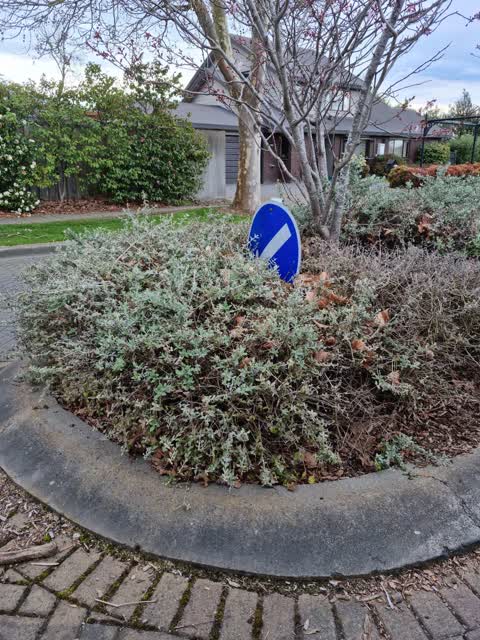 Roading/Streets, a report photo