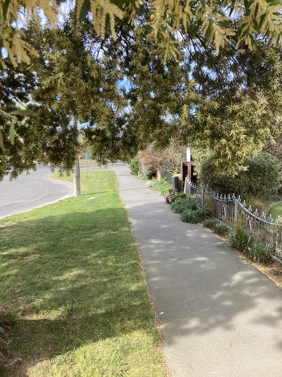 The photograph attached to this parks report