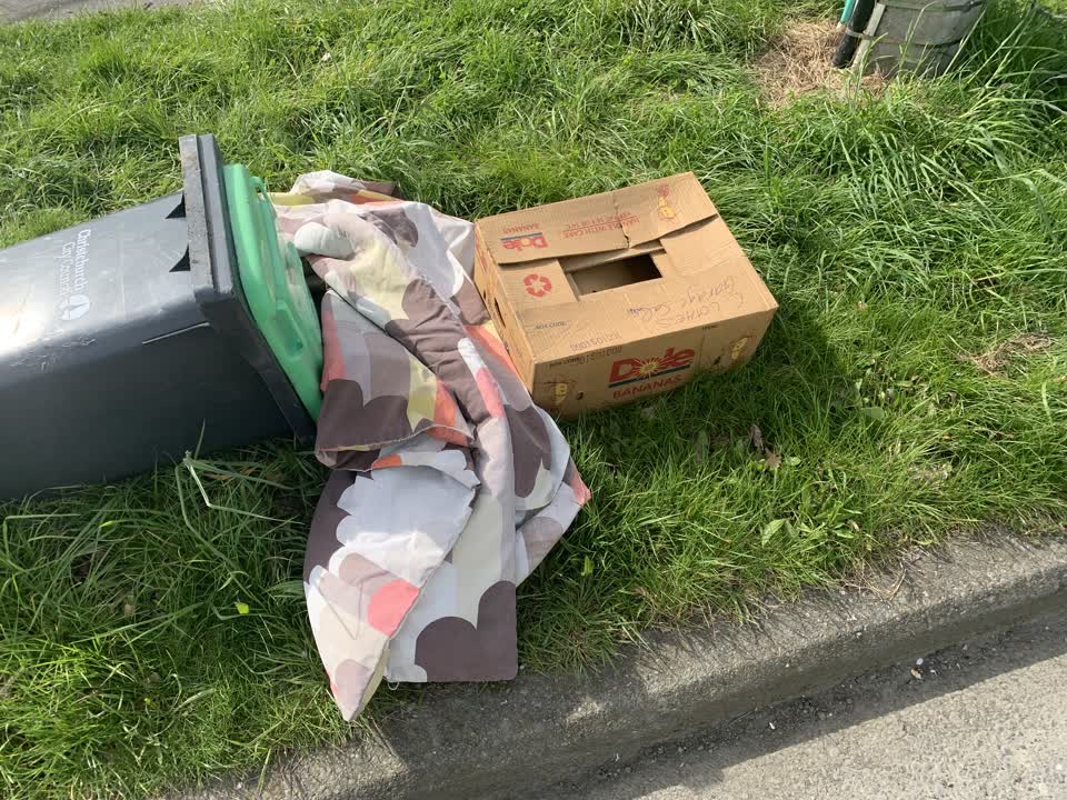 The photograph attached to this rubbish/recycling report